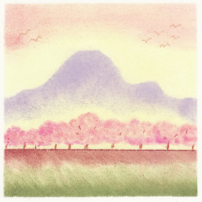 土手の桜